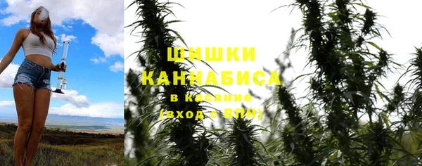 гашик Алзамай