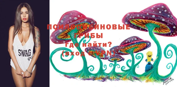 эйфоретик Няндома