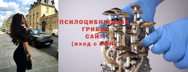 гашик Алзамай